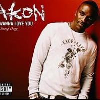 I wanna fuck you I wanna fuck you de Akon