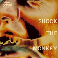 Shock The Monkey Shock The Monkey de Peter Gabriel