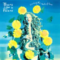 Canción 'Sowing The Seeds Of Love' interpretada por Tears For Fears Canción 'Sowing The Seeds Of Love' interpretada por Tears For Fears
