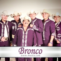 Bronco