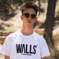'Realidad A Tragos' de Walls Realidad A Tragos - Walls