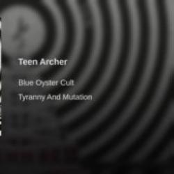 Teen Archer