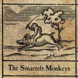 The Smartest Monkeys
