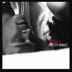 Pretty Wings