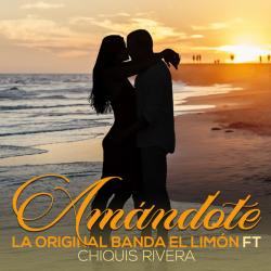 Amándote (La Original Banda El Limón)