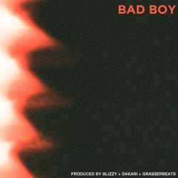 Bad Boy