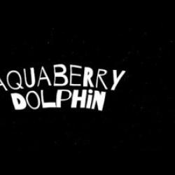 Aquaberry Dolphin