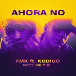 Ahora No (Ft. FMK)