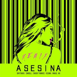 Asesina Remix