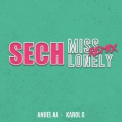 Miss Lonely Remix 2