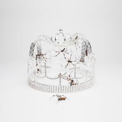 Imagen de la canción 'you should see me in a crown' Imagen de la canción 'you should see me in a crown'