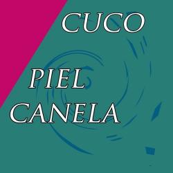 Piel Canela (cover)
