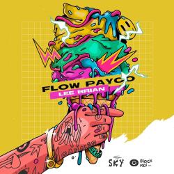 Flow Payco
