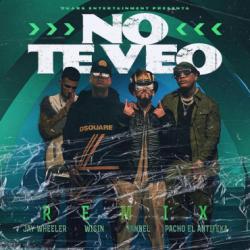 No Te Veo Remix