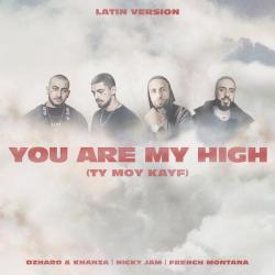 You Are My High