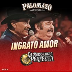 Ingrato Amor