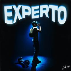 Experto