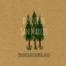 Bosque De San Marcos