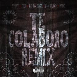 Te Colaboro Remix