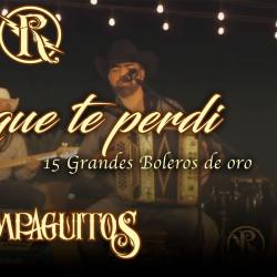 Hasta Que Te Perdí