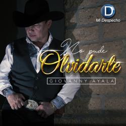 No Pude Olvidarte
