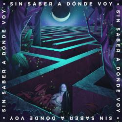 Sin Saber a Dónde Voy