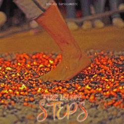Fire in My Steps
