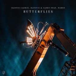 Butterflies