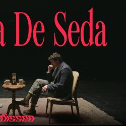 Estrella De Seda Estrella De Seda