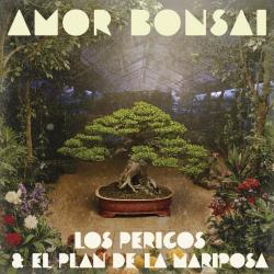 Amor Bonsai Amor Bonsai