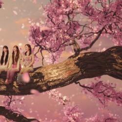 Love Me More Love Me More