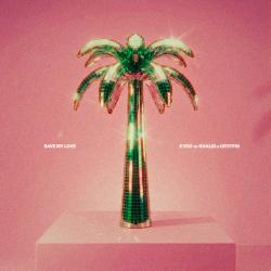 Save My Love Save My Love