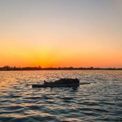 The Sun Comes Up Tremendous The Sun Comes Up Tremendous