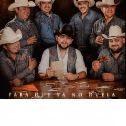 Para Que Ya No Duela