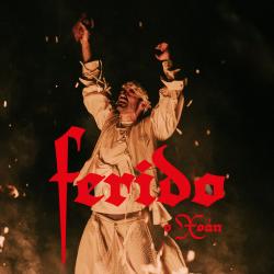 Ferido Ferido