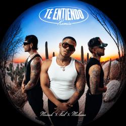 Te Entiendo Remix
