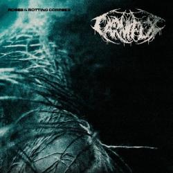 Roses & Rotting Corpses