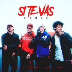 Si Te Vas Remix