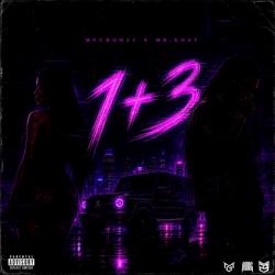 1+3 1+3