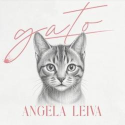 Gato Gato