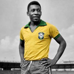 Pele Pele
