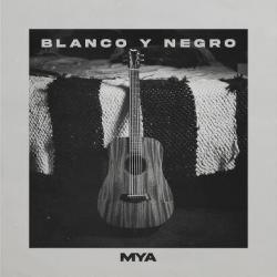 Blanco y negro Blanco y negro
