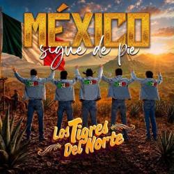 México Sigue De Pie México Sigue De Pie
