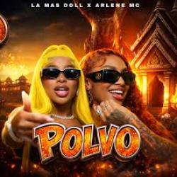 Polvo