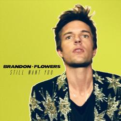 Still Want You Still Want You