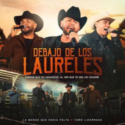 Debajo De Los Laureles, No Volveré Debajo De Los Laureles, No Volveré