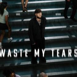 Waste My Tears Waste My Tears
