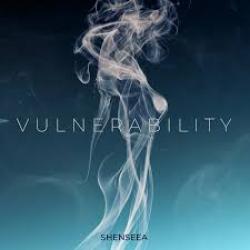 Vulnerability Vulnerability