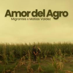 Amor del Agro Amor del Agro