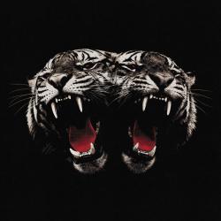 Dead Company Dead Company